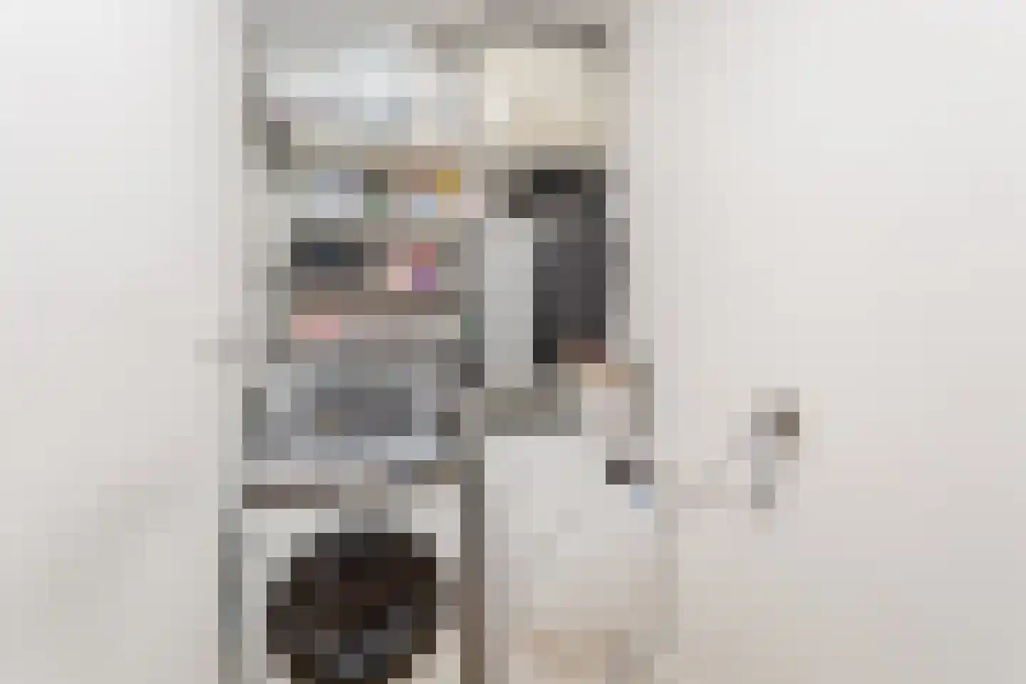 Fellinilaan 69 Almere thumbnail 26