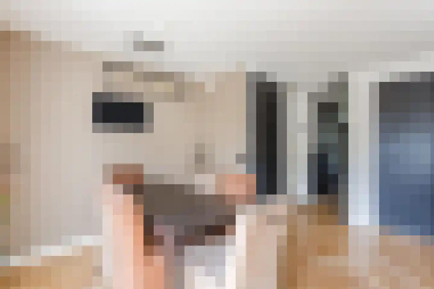 Fellinilaan 69 Almere thumbnail 8