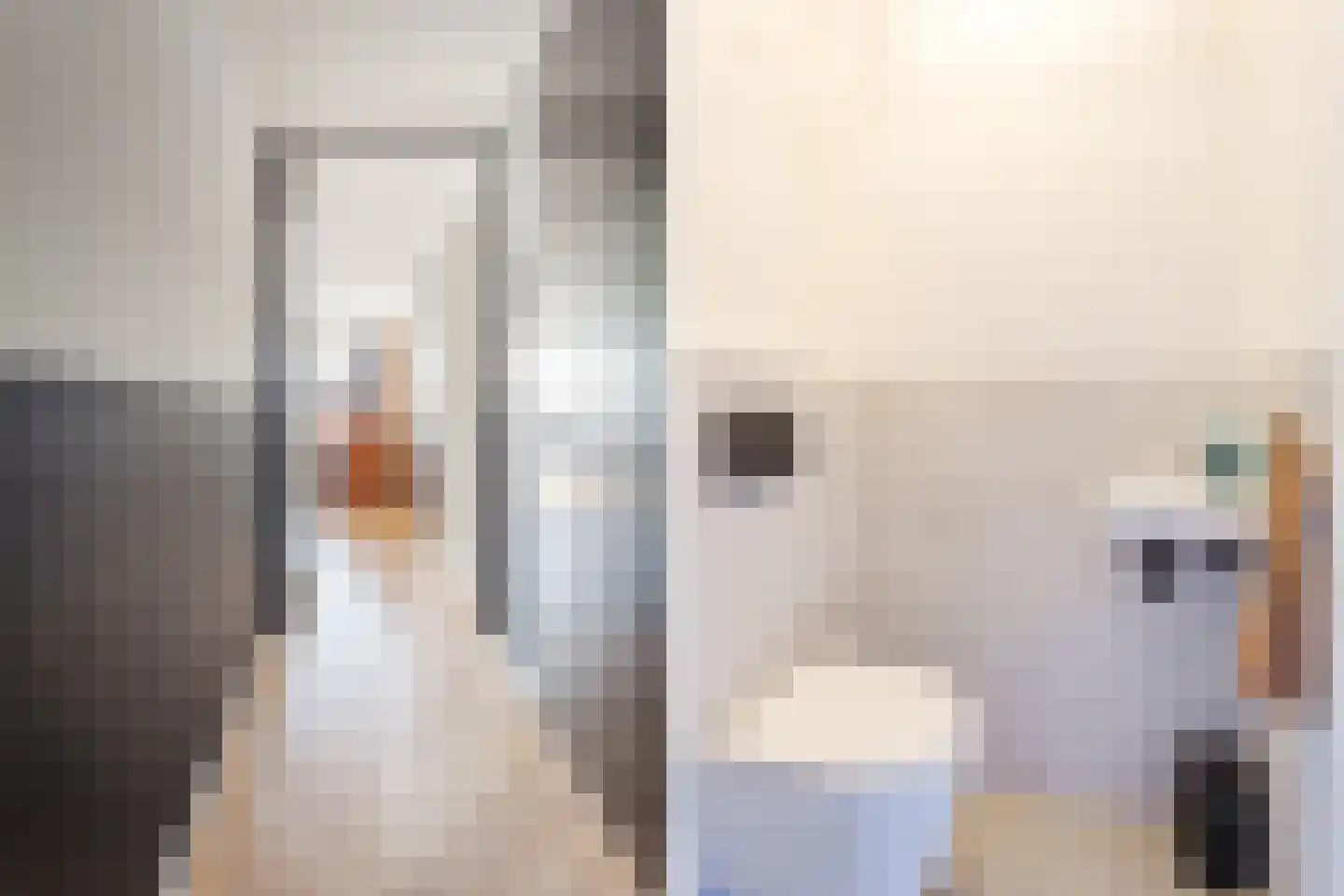 Fellinilaan 69 Almere thumbnail 9