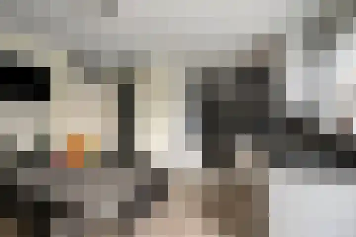 Fellinilaan 75 Almere thumbnail 17