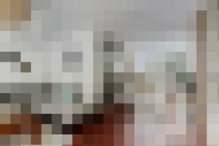 Fellinilaan 75 Almere thumbnail 20