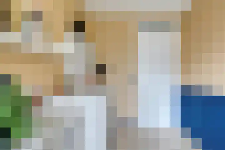 Fellinilaan 75 Almere thumbnail 31
