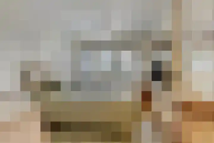Fellinilaan 75 Almere thumbnail 39
