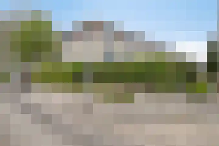 Fellinilaan 75 Almere thumbnail 46
