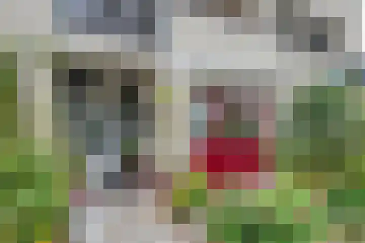 Fellinilaan 75 Almere thumbnail 8