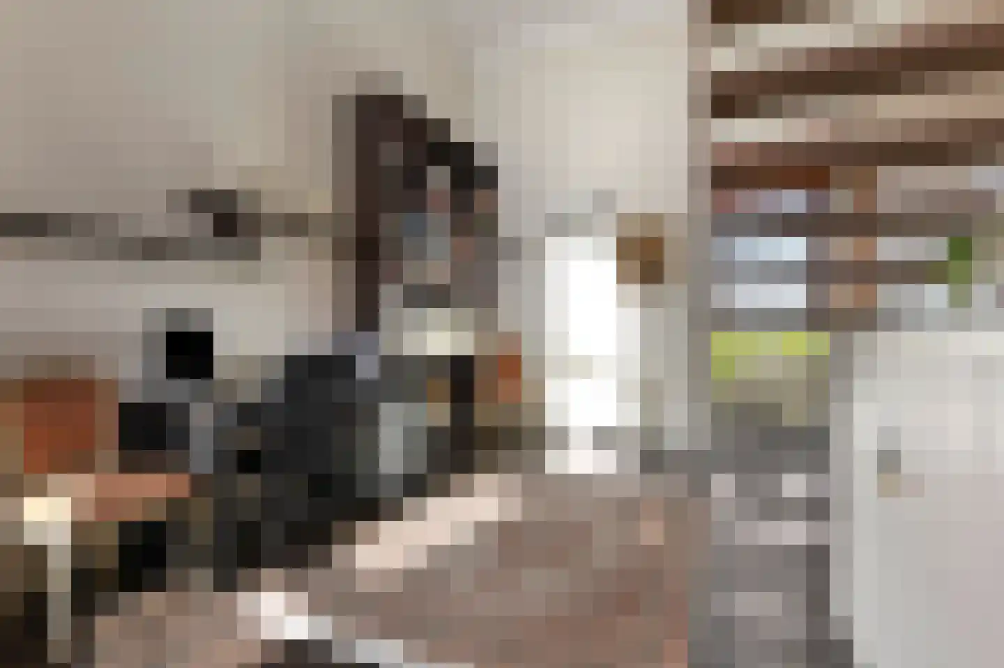 Fellowshiplaan 4 Nootdorp thumbnail 30