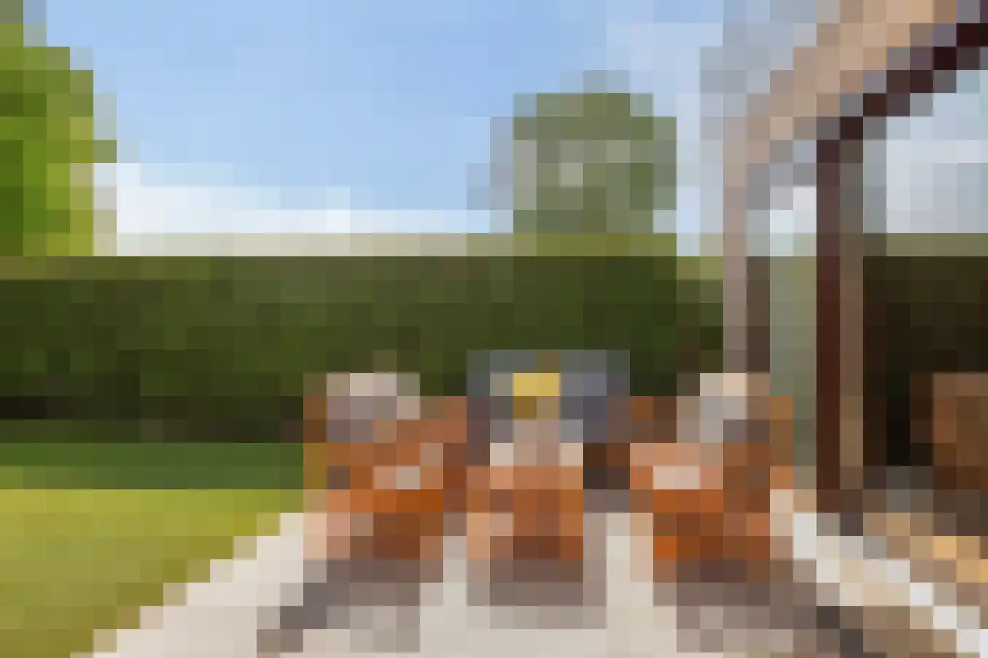 Femina Mullerstraat 110 Hoofddorp thumbnail 26