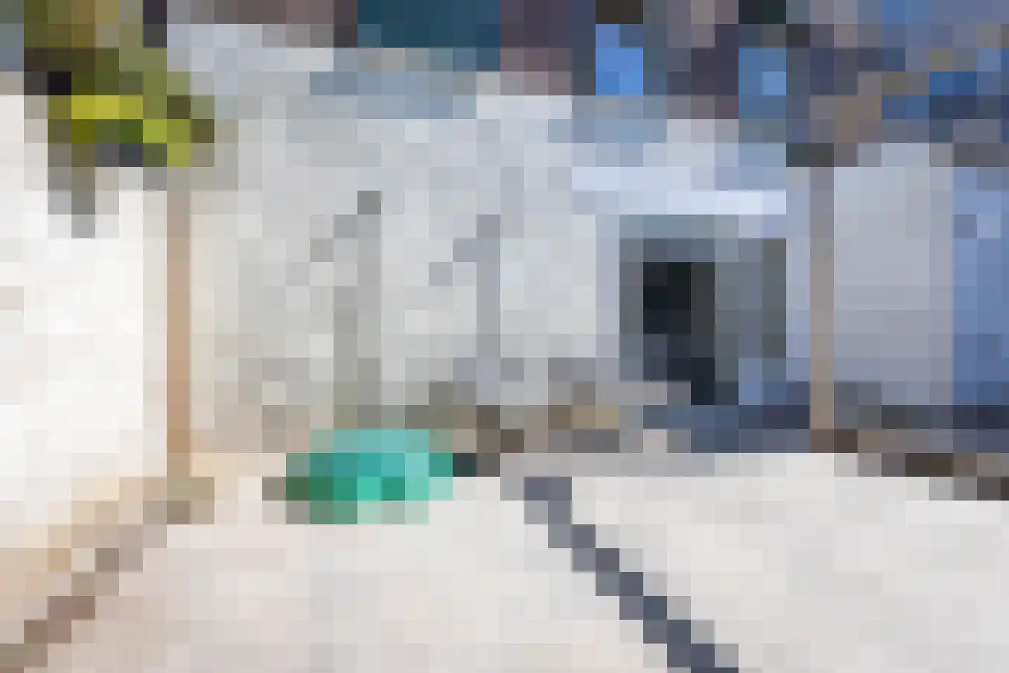Fenacoliuslaan 10 Maassluis thumbnail 20