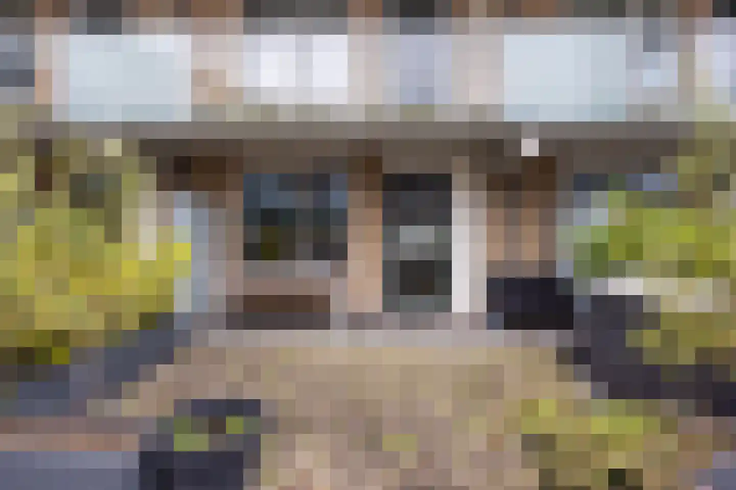 Fenacoliuslaan 104 Maassluis thumbnail 40
