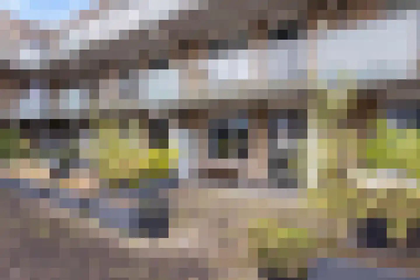 Fenacoliuslaan 104 Maassluis thumbnail 41