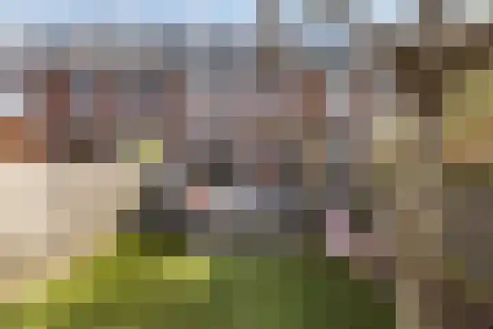 Fenacoliuslaan 24 Maassluis thumbnail 27