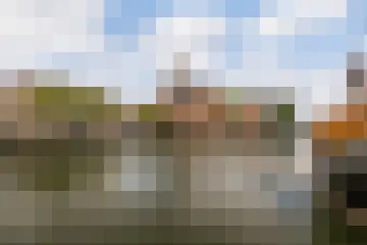 Fenacoliuslaan 47 A Maassluis thumbnail 46