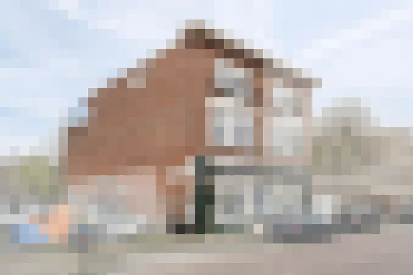 Fenacoliuslaan 58 BRD Maassluis thumbnail 5