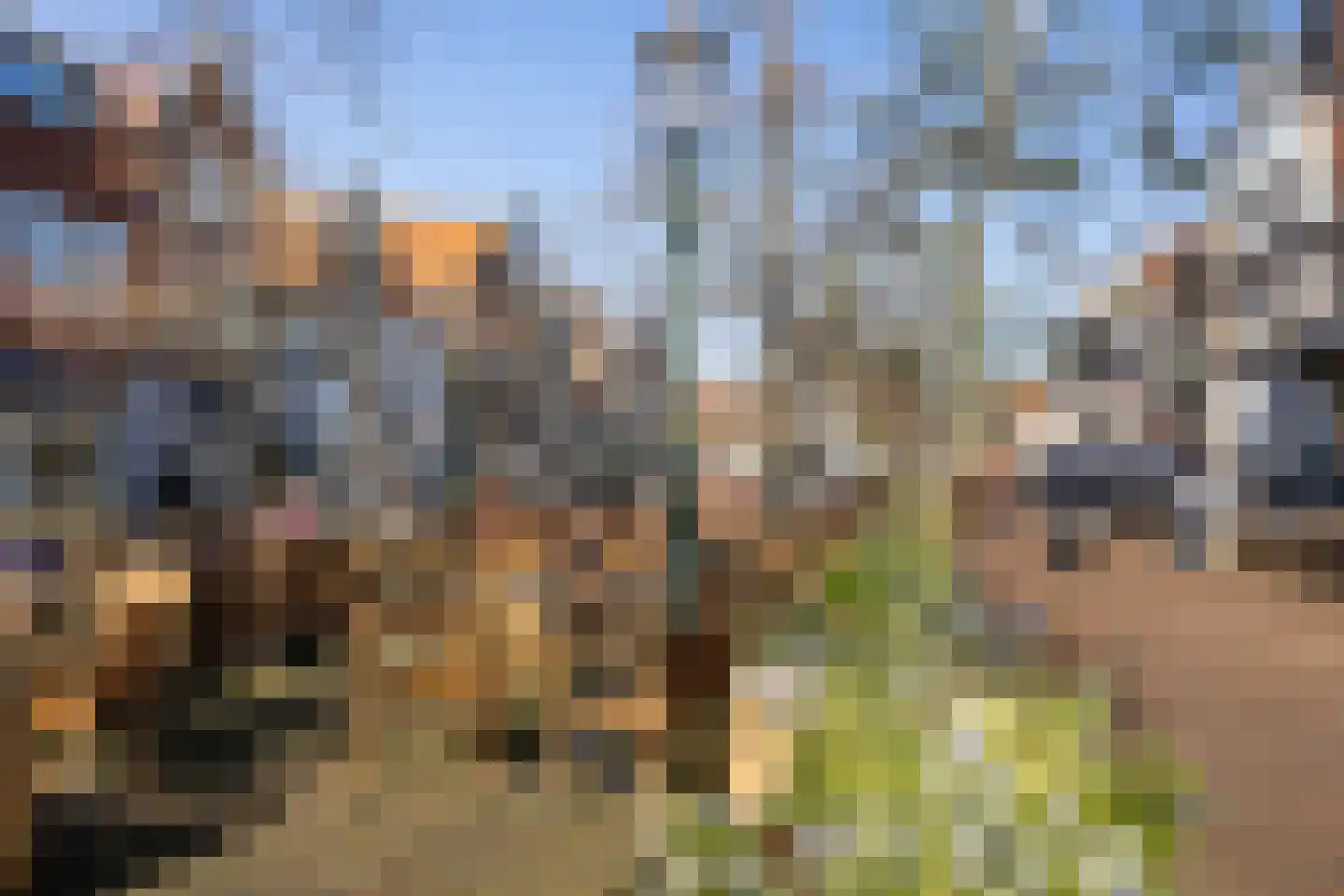 Fenacoliusplein 13 Maassluis thumbnail 39