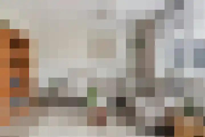 Fenacoliusplein 9 Maassluis thumbnail 13