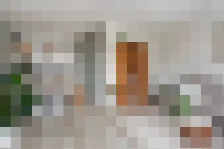 Fenacoliusplein 9 Maassluis thumbnail 14