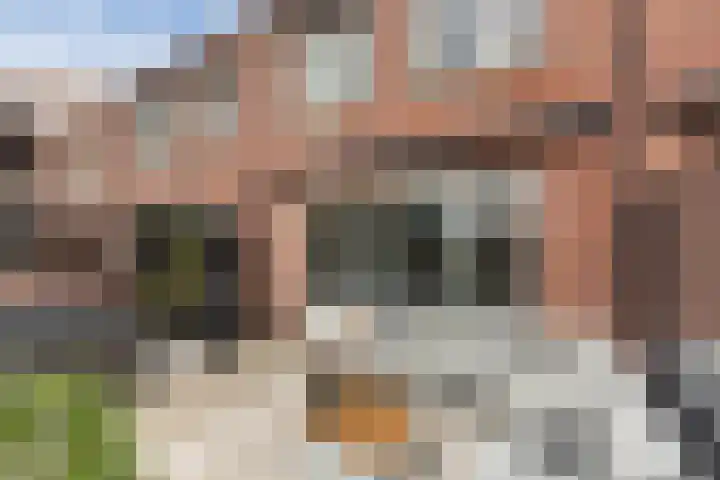 Fenacoliusplein 9 Maassluis thumbnail 19