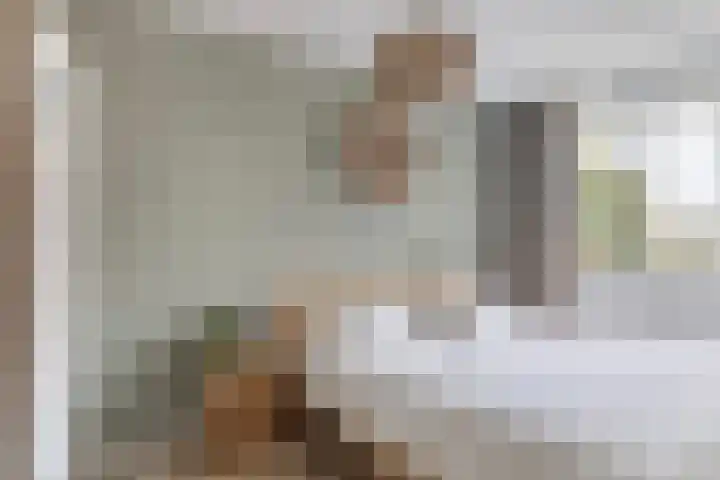 Fenacoliusplein 9 Maassluis thumbnail 27