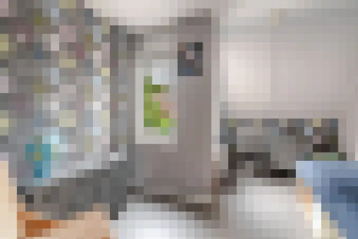 Fender 23 Uithoorn thumbnail 26