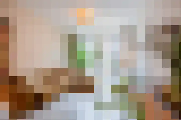 Fenikshof 12 Nijmegen thumbnail 11