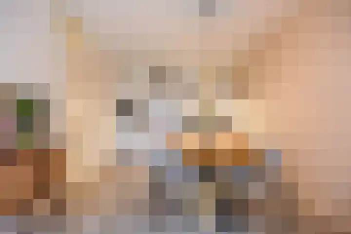 Fenikshof 12 Nijmegen thumbnail 13