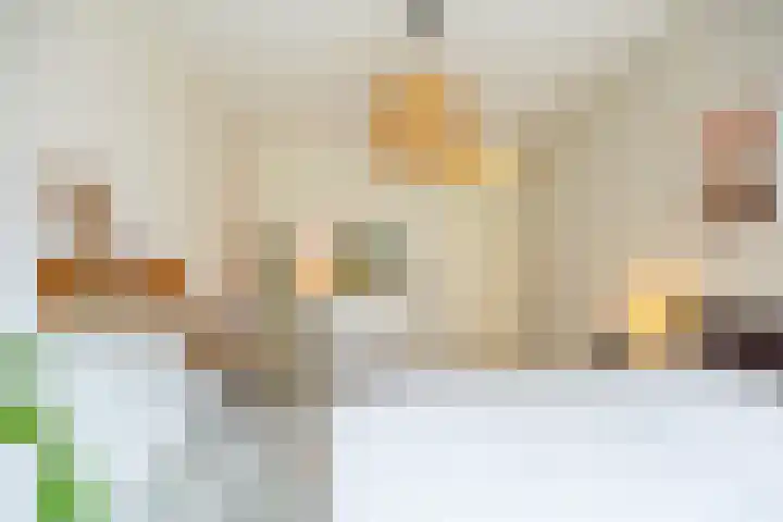 Fenikshof 12 Nijmegen thumbnail 22