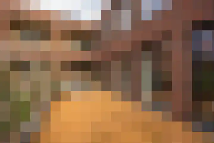 Fenikshof 12 Nijmegen thumbnail 29