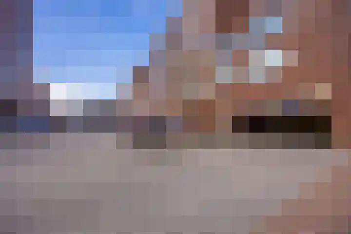 Fenikshof 12 Nijmegen thumbnail 32