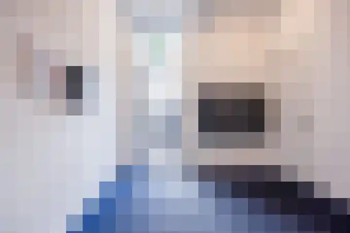 Fenikshof 12 Nijmegen thumbnail 4