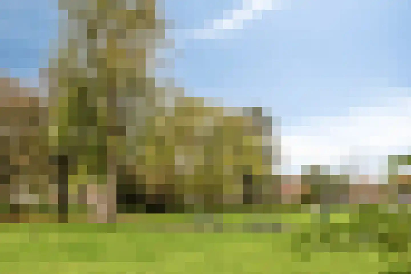 Fenikshof 42 Nijmegen thumbnail 34