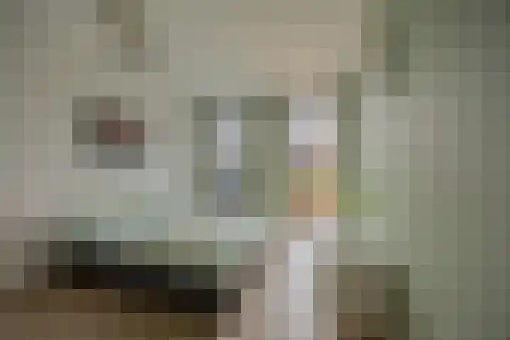 Fenikshof 69 Nijmegen thumbnail 14