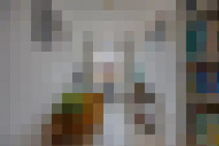 Fenikshof 69 Nijmegen thumbnail 18