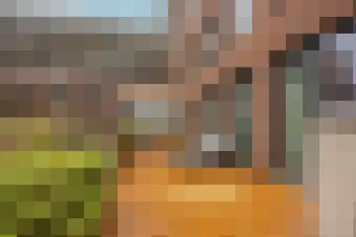 Fenikshof 69 Nijmegen thumbnail 27
