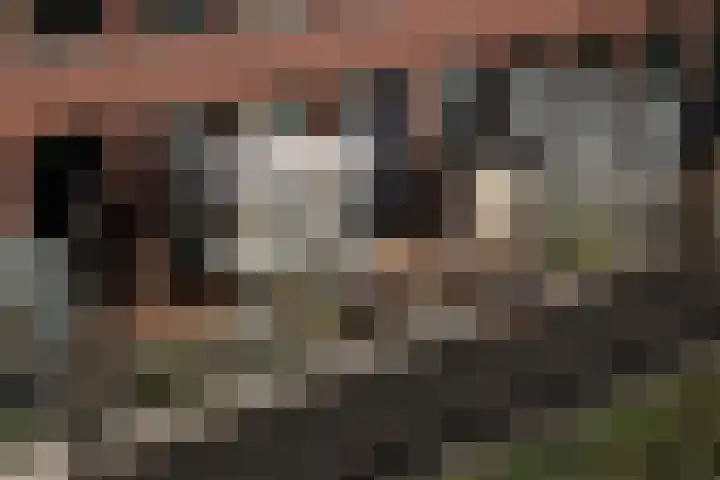 Fenikshof 69 Nijmegen thumbnail 28