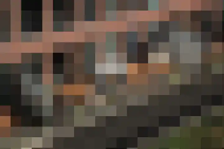 Fenikshof 69 Nijmegen thumbnail 29
