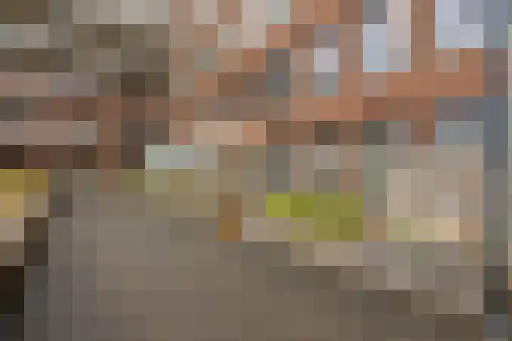 Fenikshof 69 Nijmegen thumbnail 30