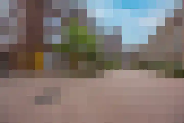 Fenikshof 69 Nijmegen thumbnail 35