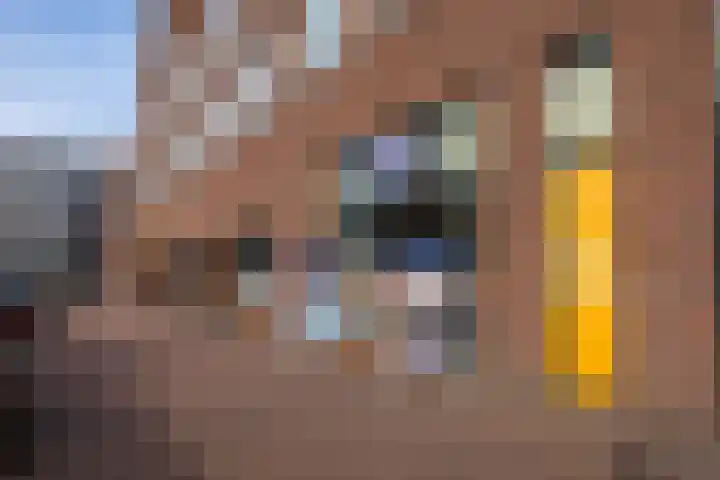 Fenikshof 69 Nijmegen thumbnail 37
