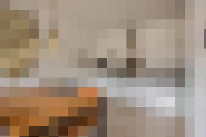 Fenikshof 69 Nijmegen thumbnail 8