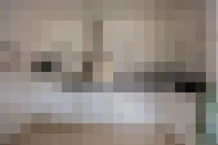 Fenikshof 69 Nijmegen thumbnail 9