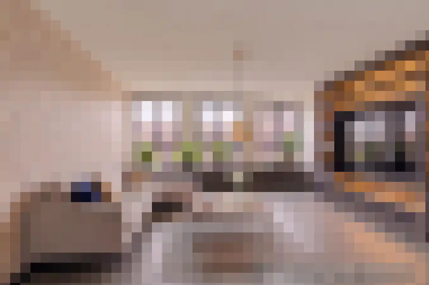 Fenikshof 79 Nijmegen thumbnail 4
