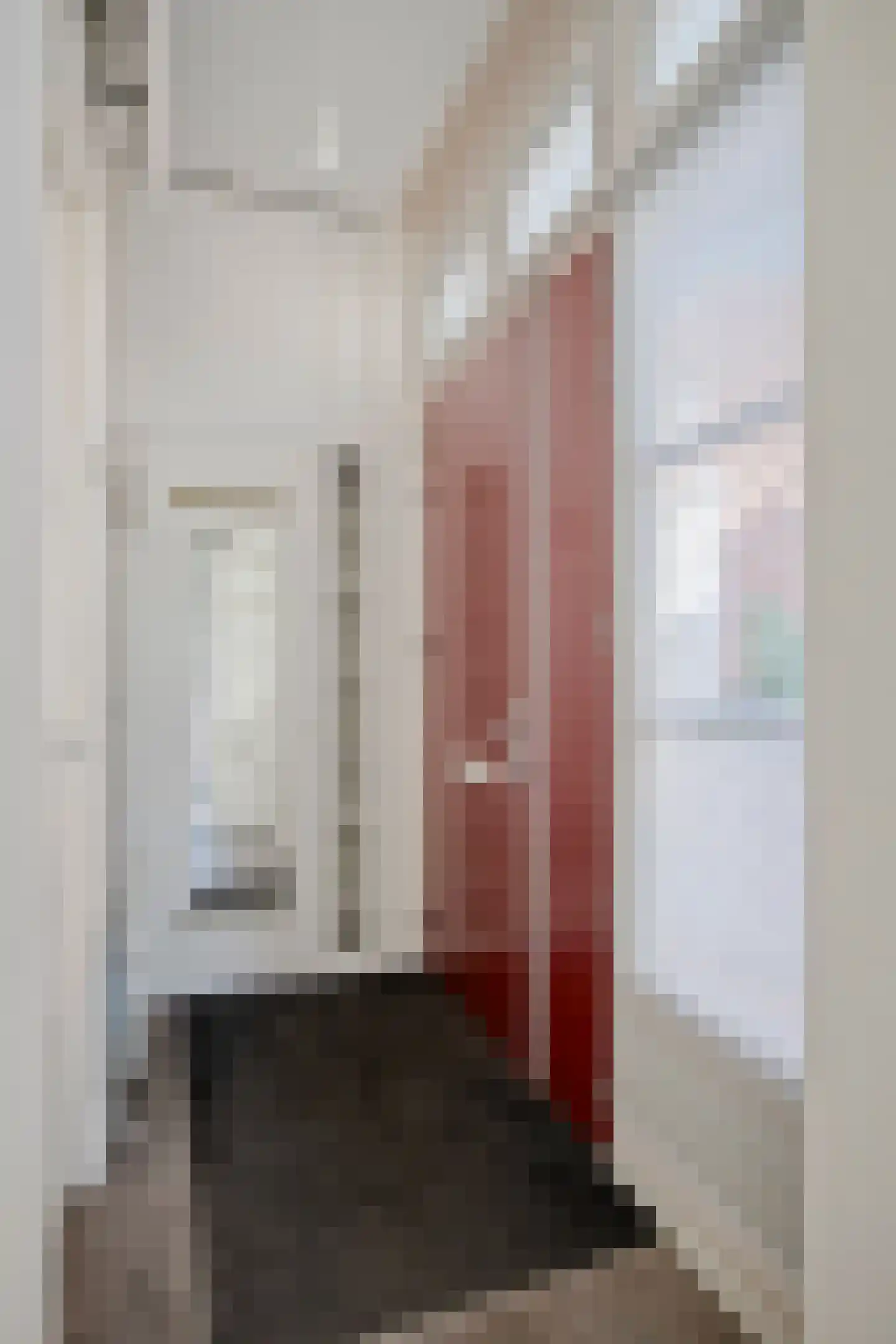 Fenixhof 1 Zwolle thumbnail 18