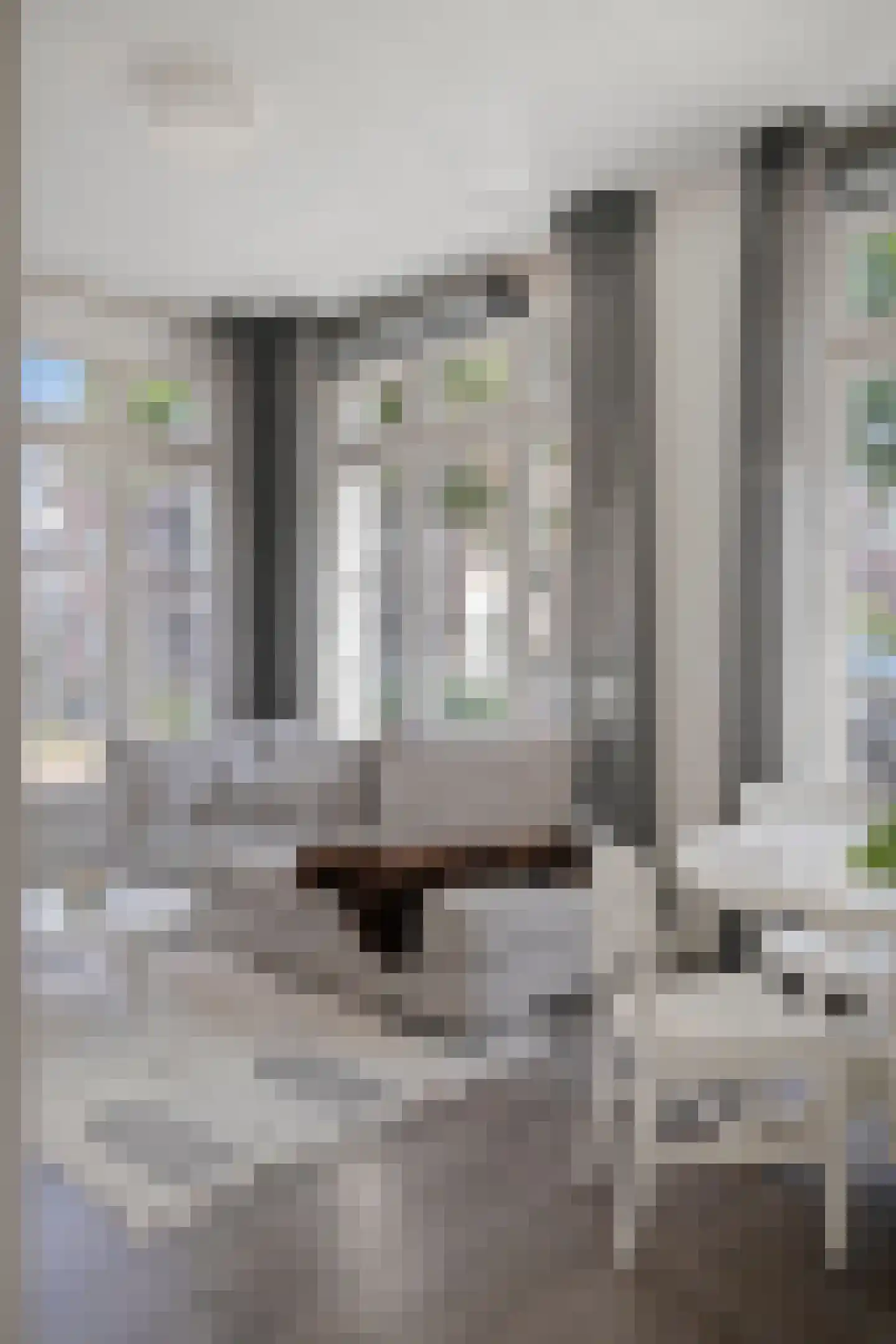 Fenixhof 1 Zwolle thumbnail 4