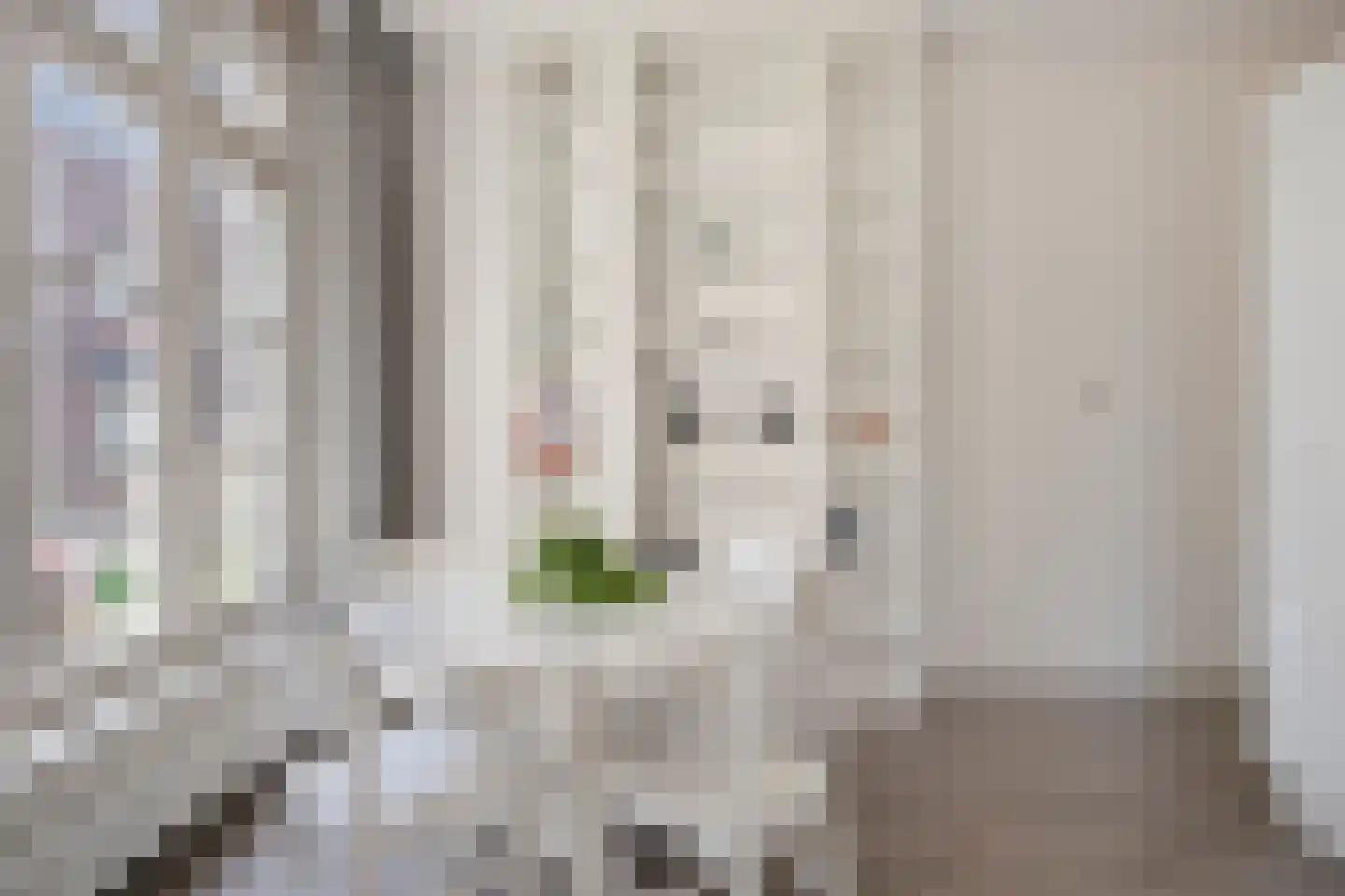 Fenixhof 1 Zwolle thumbnail 7