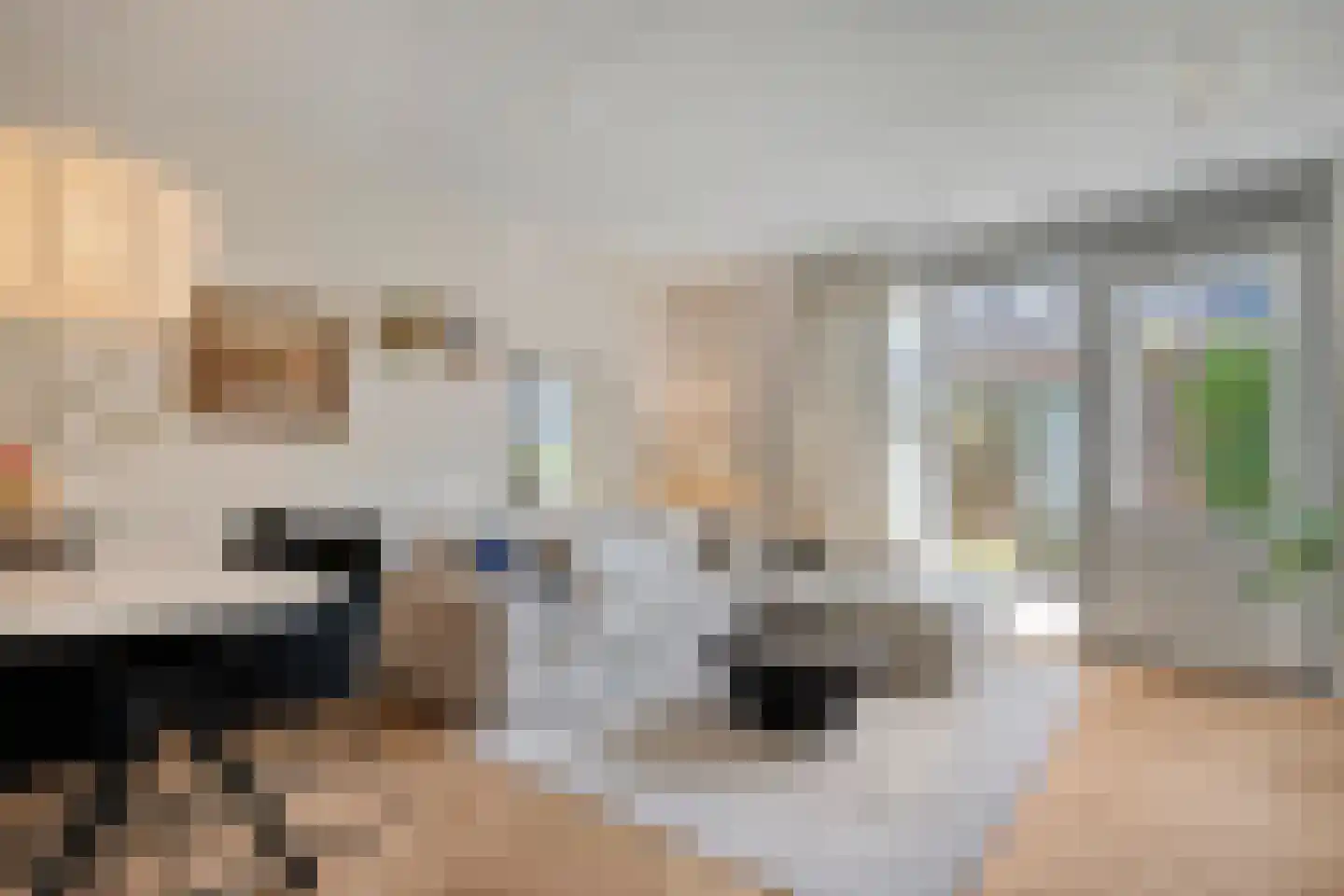 Fenixhof 20 A Zwolle thumbnail 10