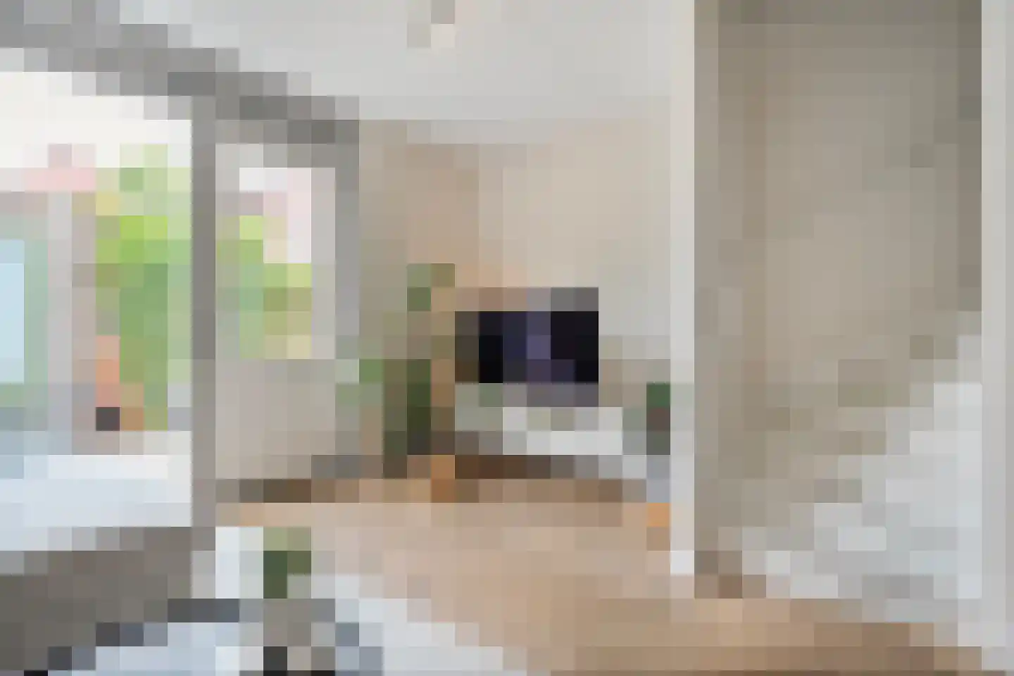 Fenixhof 20 A Zwolle thumbnail 11