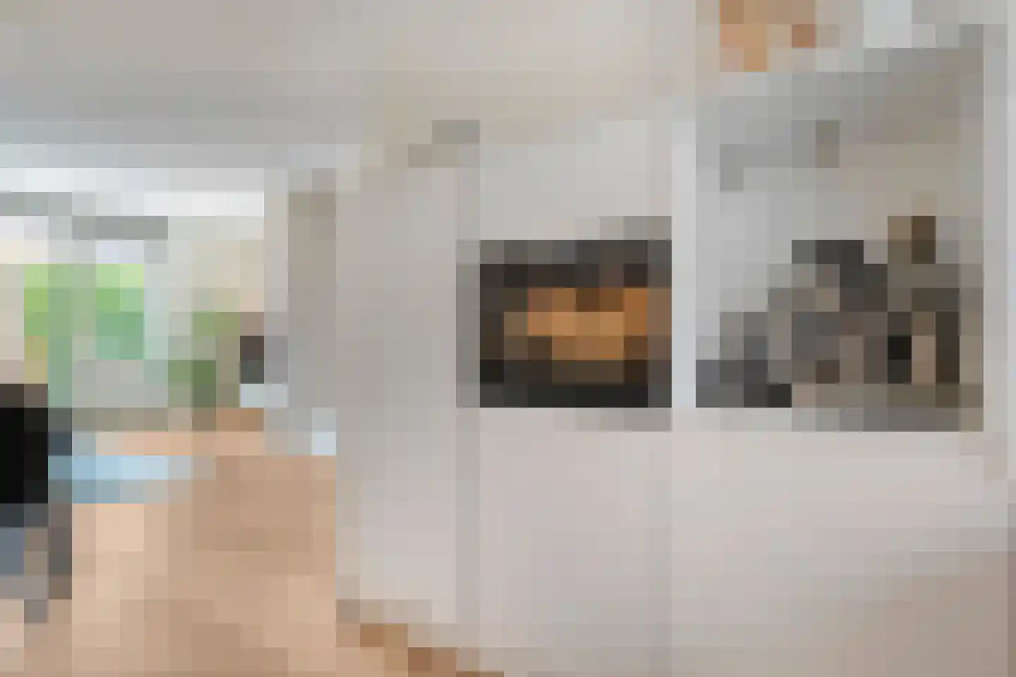 Fenixhof 20 A Zwolle thumbnail 13