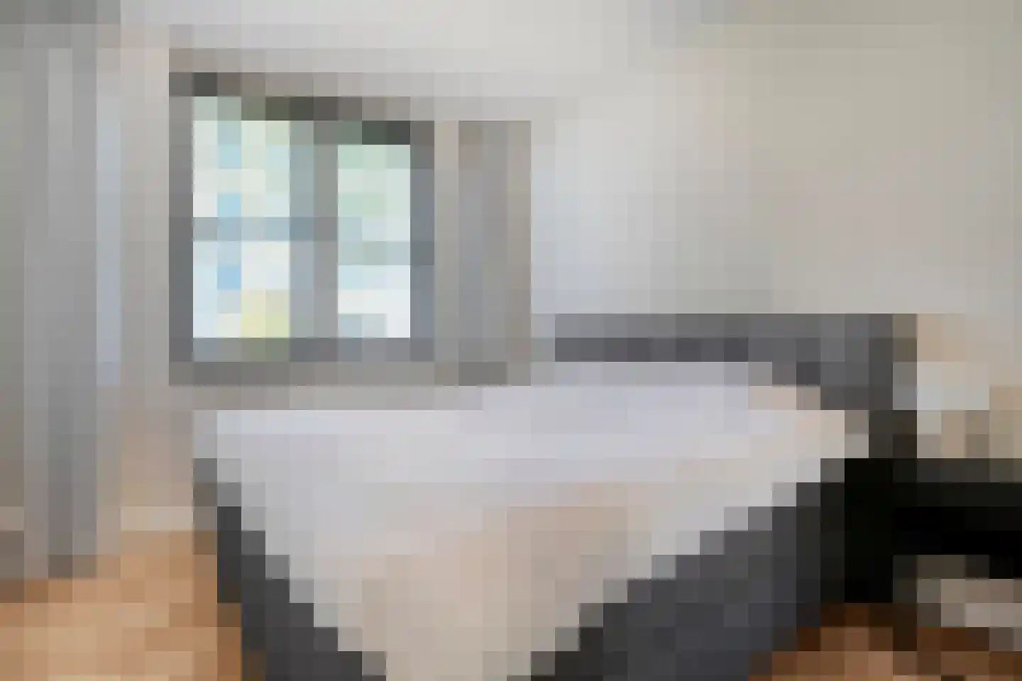Fenixhof 20 A Zwolle thumbnail 17
