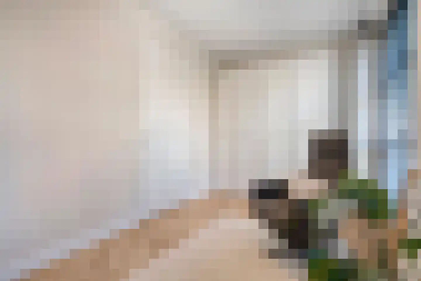 Fenixhof 20 A Zwolle thumbnail 27