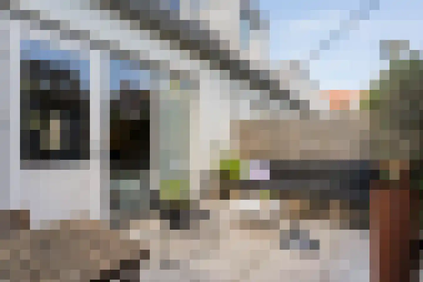 Fenixhof 20 A Zwolle thumbnail 30